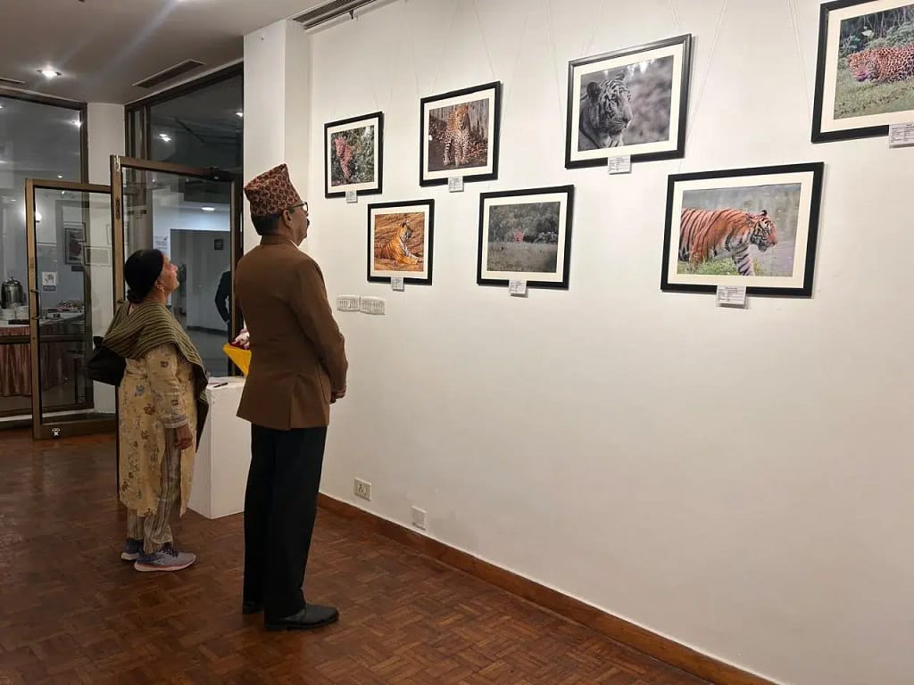 Bioscope Photography Exhibition: वाइल्ड लाइफ फोटोग्राफर बने सेना के ब्रिगेडियर बिक्रम सिंह, प्रकृति की छिपी सुंदरता को कैमरे में किया कैद! 3 Bioscope Photography Exhibition: Brigadier Bikram Singh Captures Nature's Hidden Beauty!