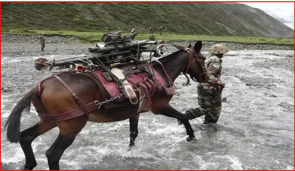 Mountain Artillery: अब भारतीय सेना का हिस्सा नहीं रहेंगे खच्चर, ड्रोन, ATV और रोबोटिक म्यूल ने ली जगह, सेना ने ऐसे दी विदाई 3 Mountain Artillery Retires: Mules Make Way for Drones, ATVs & Robotic Mules in Indian Army
